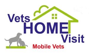 Vets Home Visit